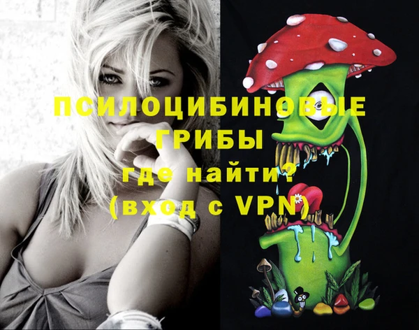 мет Абаза